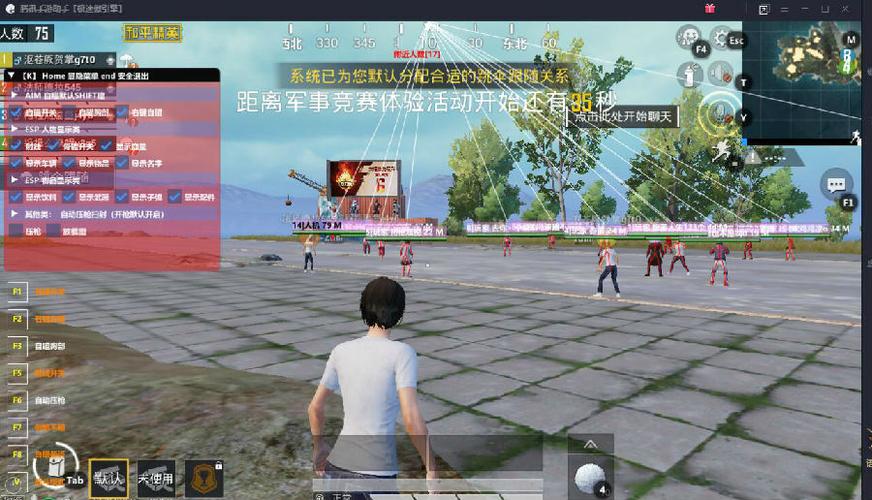 和平精英《牛牛》辅助