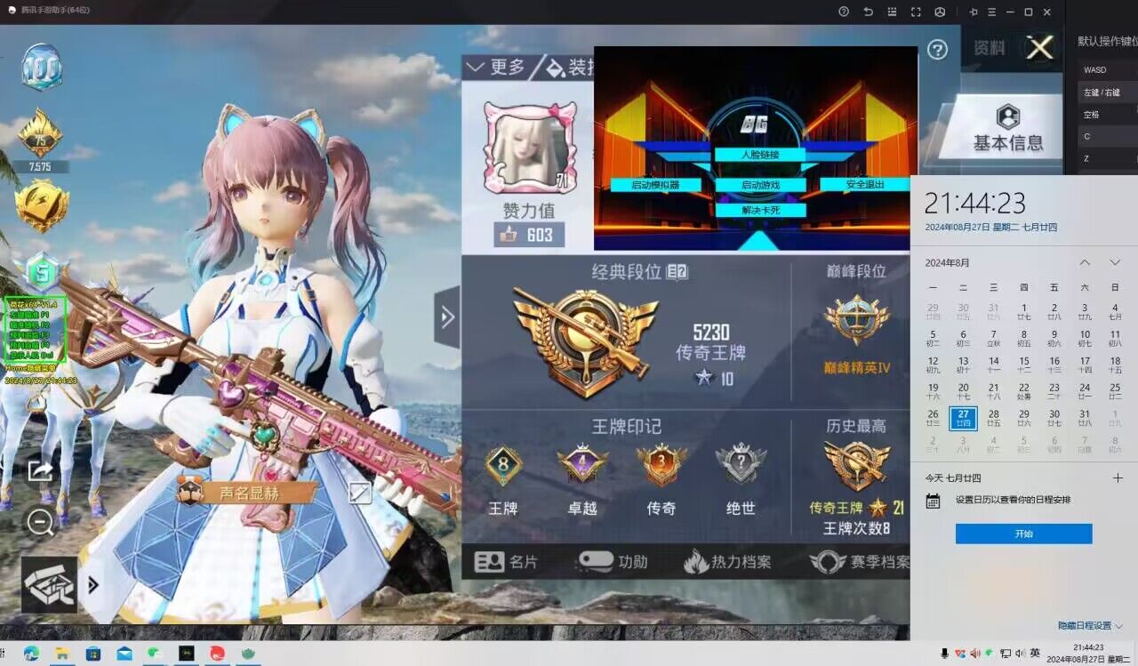 和平精英辅助【保时捷】